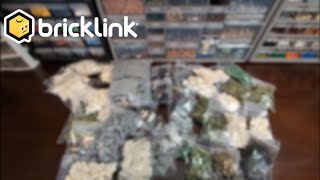 Bricklink Haul 4  International Orders  Lots of Fun Parts [upl. by Herby171]