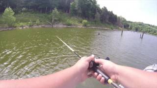 Bass Fishing Taylorsville Lake [upl. by Navlys]