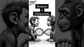 how humans and chimpanzees are similar [upl. by Keifer115]