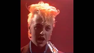 Brian Setzer  Stray Cat  Strut  1983 [upl. by Smail]