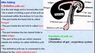 36 General Embryology Yolk Sac [upl. by Tegdirb704]