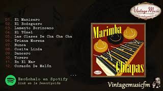 Marimba Chiapas El Bodeguero Colección iLatina 04 Full AlbumAlbum Completo [upl. by Meeks]