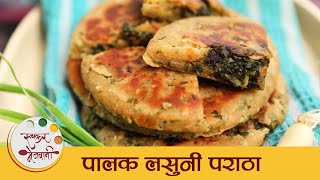 Palak Lasooni Paratha in Marathi  Spinach Garlic Flatbread  चविष्ट पालक लसुनी पराठा  Tushar [upl. by Jermayne]