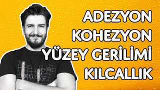 Adezyon Kohezyon Yüzey Gerilimi ve Kılcallık  Gösteri Deneyleri  Madde ve Özellikleri  PDF [upl. by Narmak]