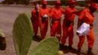 AMERICAN CHAIN GANG  DVD CLIP 2 WOMEN ON THE CHAIN GANG [upl. by Coniah891]