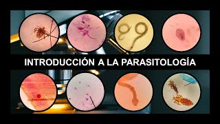 INTRODUCCIÓN A PARASITOLOGÍA Generalidades clasificación tipos de huéspedes y mecanismos de daño [upl. by Icat]