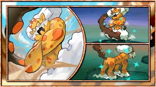 Live shiny Landorus  Therian Forme on Pokemon Black after 4977 SRs [upl. by Panther]