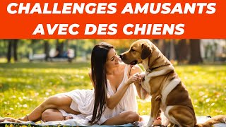 Challenges Amusants avec des Chiens Vous et le chien ensemble [upl. by Rena726]