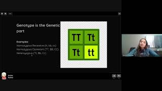 Genotypes vs Phenotypes [upl. by Bridges334]