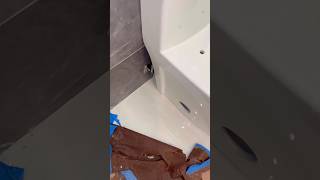 Toilet installation nightmare bad [upl. by Niatsirk]