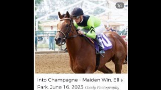 Into Champagne Maiden Win TDN Rising Star Distinction [upl. by Enyrehtak833]