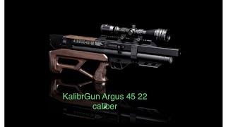 kalibrgunargus KalibrGun Argus 45W 22 caliber first USA review [upl. by Llemrej]