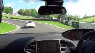 308 GTI 270 and RS Megane 275 trophy  Cadwell park 2017 [upl. by Sllew983]