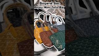 Goyard Sac Anjou mini tote bag 💼🤎 [upl. by Delgado35]