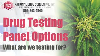 The Different Drug Testing Panels And What They Screen For [upl. by Viviene]