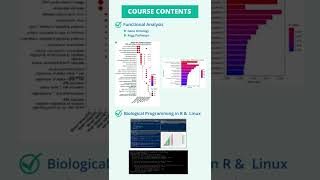 RNA Seq Data Analysis With Linux amp R Course [upl. by Mirna]