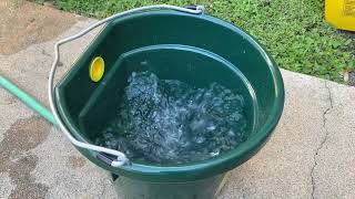 Cowboys SelfCleaning Pet Waterer  Demo 2024 [upl. by Armando271]