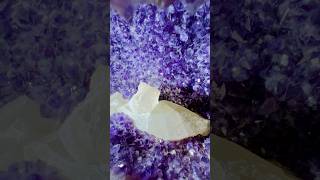 Amethyst at the Dealers’ Tucson Fall Gem amp Mineral Show 2024 shorts tucsongemandmineralshow [upl. by Selhorst]