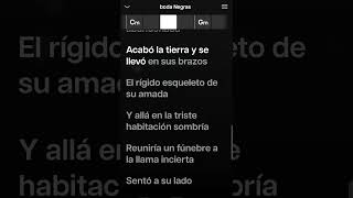 Ana Gabriel  Bodas Negras Karaoke Desvocalizado [upl. by Aiker]