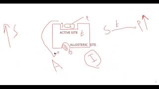 L22 REGULATION OF ENZYME ACTIVITY [upl. by Odidnac]