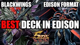 INSANELY STRONG Blackwing Deck Profile  Edison Format  YuGiOh [upl. by Katee]