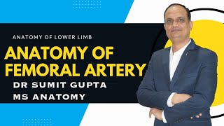 Femoral Artery Anatomy 3D  Origin Course Branches and relations [upl. by Marvel615]