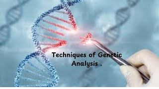 13 PCR in HIV Testing [upl. by Igic]