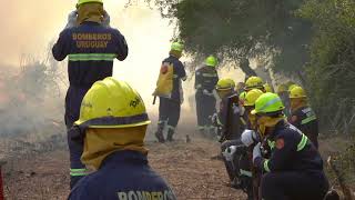 Bomberos zafralesDirección Nacional de Bomberos capacita a 168 efectivos contratados zafrales [upl. by Rehpotirhc]