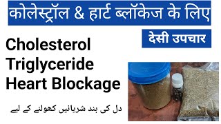 Cholesterol Triglyceride Heart Blockage Ke Liye Desi Upchar [upl. by Ahsilif378]