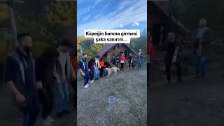 Köpeğin horona girmesi şaka mı [upl. by Olds]