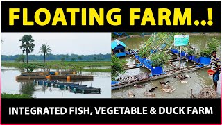 Integrated Fish Fruit Vegetable and Duck Farming  Incredible Floating Farming Technolog [upl. by Hitt]