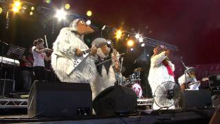 The Wombles  Remember Youre A Womble Live at Glastonbury 2011 [upl. by Queen913]