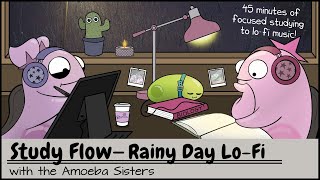 Study Flow Amoeba Sisters Rainy Day Lofi Study Video  45 Minutes [upl. by Aleron]