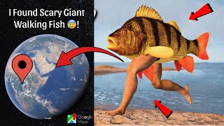 I Found Giant Walking Fish in Real Life On Google Earth and Google Maps 😰 [upl. by Raclima658]