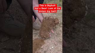 This Is Bigfoot Not A Bear Look At The Broken Toes [upl. by Alvar]