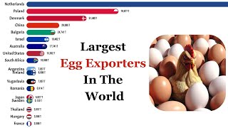 📊Largest Egg Exports In The World  1961  2022 [upl. by Lever]