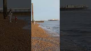 Brighton seafront Low Tide [upl. by Anikahs992]