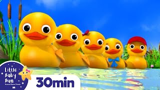 Counting Duck Song More Nursery Rhymes and Kids Songs  Little Baby Bum [upl. by Oigile]