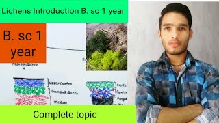 Lichens introduction classification and economic importance [upl. by Gildas79]