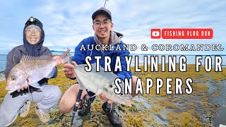 PART 2 Targeting Big Snappers End of Summer Fishing Trip  Auckland to The Coromandel [upl. by Lesde]