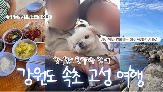 강아지랑 속초 고성 가족여행🐶🐾 쉽지 않았지만 누나는 행복해😂  강아지 동반 카페 식당 해수욕장 • 속초 시장까지 [upl. by Asyal]