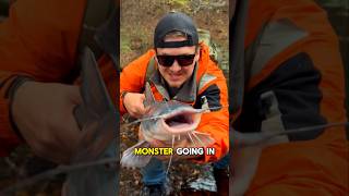 Restocking my DEAD Pond 🎣🔥part 10 shorts fishing [upl. by Other]