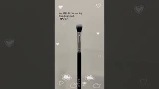 THE DRUGSTORE COMPANY  MAKEUP BRUSHES  FOUNDATION BRUSH  BLUSH BRUSH  HIGHLIGHTER BRUSH  BRUSH [upl. by Aisatana131]