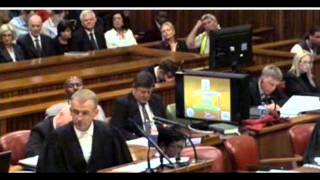 Oscar Pistorius trial Day 4 Dr Johan Stipp testimony [upl. by Nashner15]