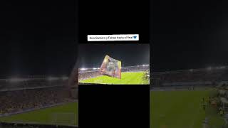 De millos nada más colombia ligabetplay falcao millonariosfc luislocutor96 viralvideo fy [upl. by Magnus]