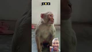 Suraj roxe comedy new video 😃😃😃viralvideo shorts [upl. by Haney702]