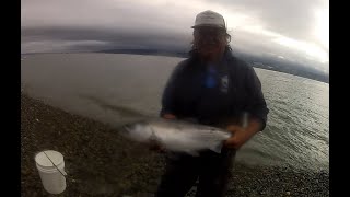 Fishing Coho with live Herring at Possession Point Bait Co Coho are bigger 83124 to 9224 [upl. by Daven]