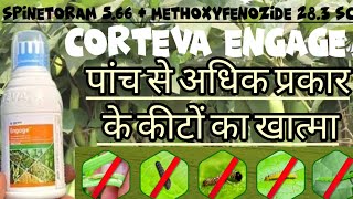 spinetoram 566  methoxyfenozide 283 sc  corteva engage insecticide  corteva engage  engage [upl. by Mccully]