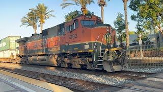 Railfanning Fullerton ft A4 2 BNSF H1s delayed trains and more [upl. by Enilra]