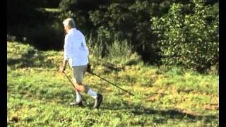 Nordic Walking  Bisztrai György [upl. by Zumwalt392]